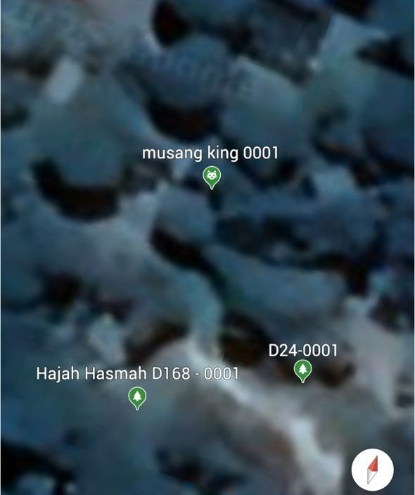 Map view with pins